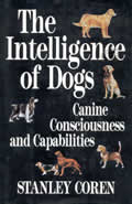 Intelligence Of Dogs Canine Consciousnes