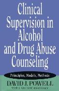 Clinical Supervision In Alcohol & Drug A