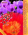 Introduction To Organic Chemistry 2nd Edition