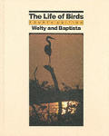 Life Of Birds