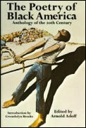 Poetry Of Black America Anthology Of The 20th Century