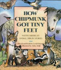 How Chipmunk Got Tiny Feet Native Americ