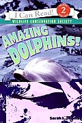 Amazing Dolphins