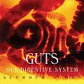 Guts Our Digestive System