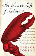 Secret Life Of Lobsters How Fishermen