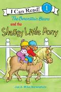 Berenstain Bears & the Shaggy Little Pony