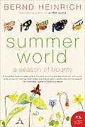 Summer World A Season of Bounty