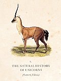 Natural History Of Unicorns