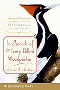 In Search of the Ivory Billed Woodpecker