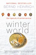Winter World The Ingenuity Of Animal Survival