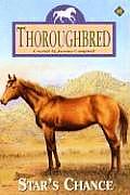 Thoroughbred 45 Stars Chance