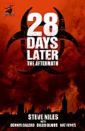 28 Days Later The Aftermath