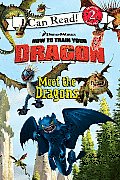 Meet The Dragons How to Train Your Dragon
