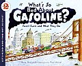 What's So Bad about Gasoline?: Fossil Fuels and What They Do