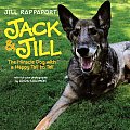 Jack & Jill The Miracle Dog with a Happy Tail to Tell