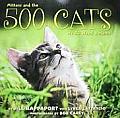 500 Cats