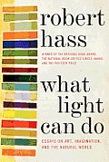 What Light Can Do Essays on Art Imagination & the Natural World