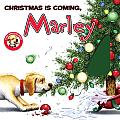Marley Christmas Is Coming Marley