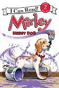 Marley Messy Dog
