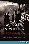 Train in Winter large print ed