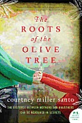 Roots of the Olive Tree