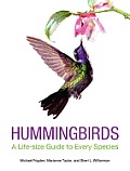 Hummingbirds A Life Size Guide to Every Species