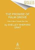 The Promise of Palm Grove: Amish Brides of Pinecraft, Book One