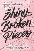 Shiny Broken Pieces A Tiny Pretty Things Novel