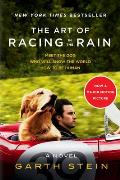 Art of Racing in the Rain Tie in