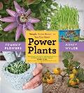 Power Plants: Simple Home Remedies You Can Grow