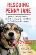 Rescuing Penny Jane One Shelter Volunteer Countless Dogs & the Quest to Find Them All Homes