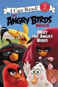 Angry Birds Movie Meet the Angry Birds