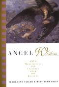 Angel Wisdom: 365 Meditations from the Heavens