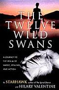 Twelve Wild Swans A Journey to the Realm of Magic Healing & Action
