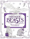 Fantastic Beasts & Where to Find Them Magical Creatures Coloring Book