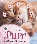 Purr A Cat Therapy Guide to Happiness