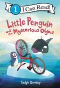 Little Penguin and the Mysterious Object