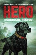Hero Hurrican Rescue