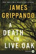 A Death in Live Oak: A Jack Swyteck Novel