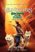 Escape to the Mesa: Wild Rescuers #2