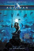 Aquaman The Junior Novel