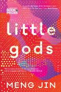 Little Gods A Novel