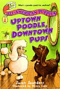 All American Puppies 04 Uptown Poodle Downtown Pups