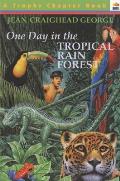 One Day In The Tropical Rainforest