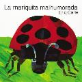 La Mariquita Malhumorada: The Grouchy Ladybug (Spanish Edition)