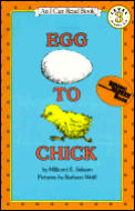 Egg To Chick