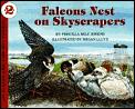Falcons Nest On Skyscrapers