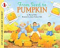 From Seed To Pumpkin Read 1 Stage