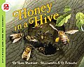 Honey In A Hive