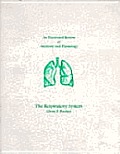 Illustrated Review of Anatomy The Respiratory System